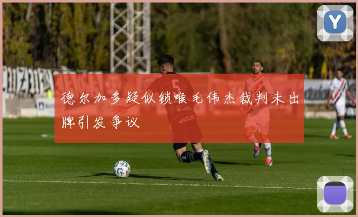 德尔加多疑似锁喉毛伟杰裁判未出牌引发争议