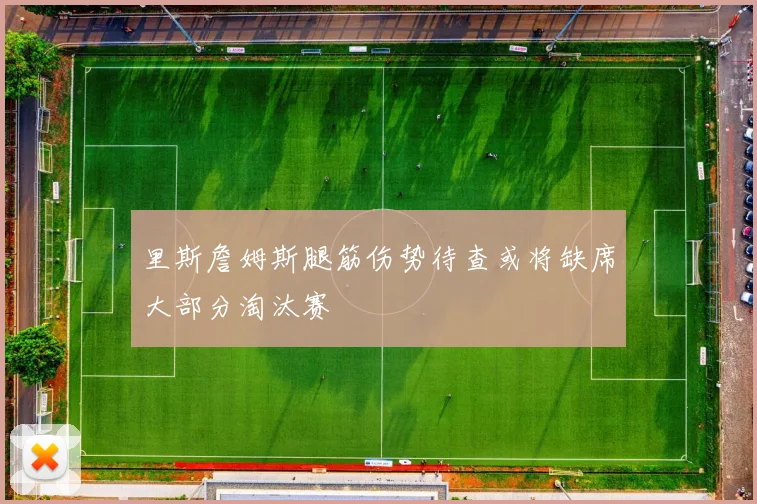 里斯詹姆斯腿筋伤势待查或将缺席大部分淘汰赛