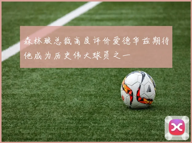 森林狼总裁高度评价爱德华兹期待他成为历史伟大球员之一