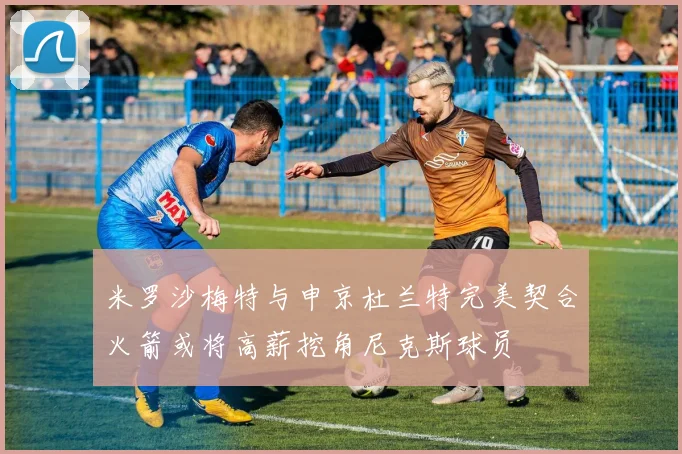 米罗沙梅特与申京杜兰特完美契合火箭或将高薪挖角尼克斯球员